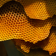 Image for article titled Why honey is the only food that doesn't go bad